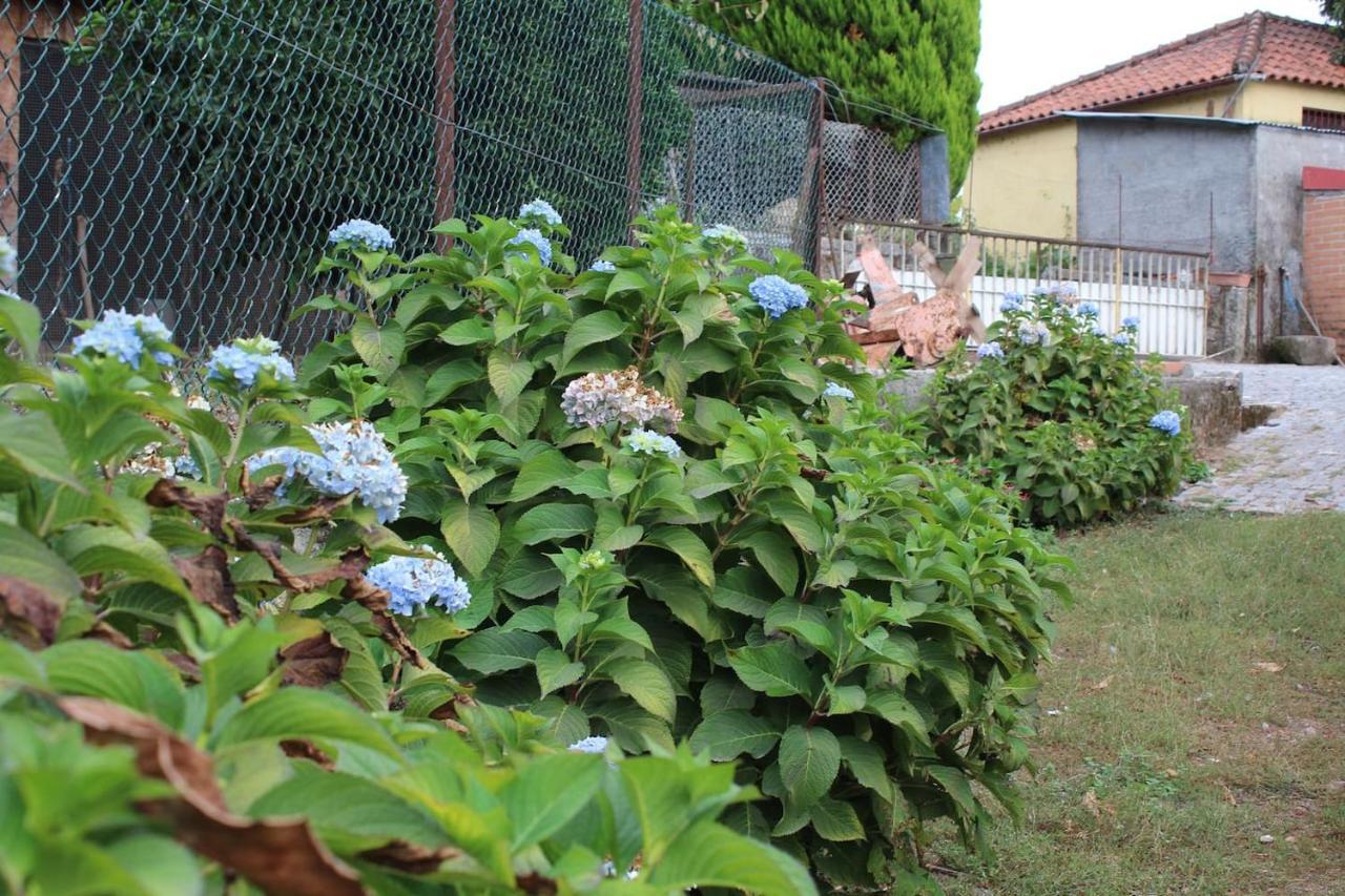 아르코스 데 발데베즈 Quinta Da Imaculada 빌라 외부 사진